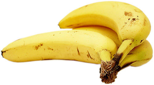 small bananas - free image