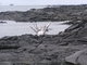 solidified lava shore