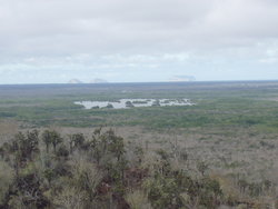 sparse vegetation