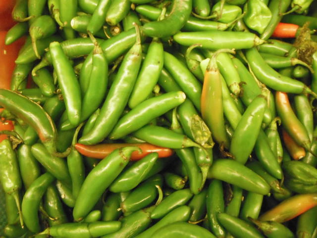 spicy green chilli - free image