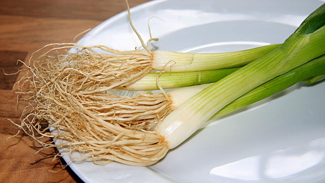 Spring onion - free image