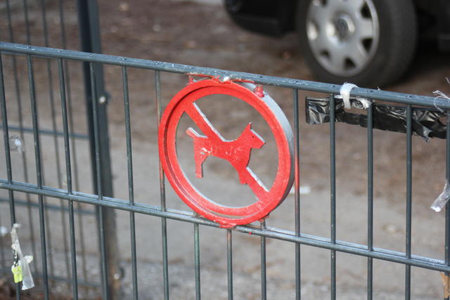 Steel gate with emblem - free image