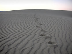 Steps in desert