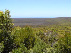 stretches of green