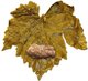 stuffed vine leaf