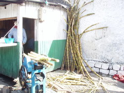 sugarcane juice