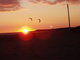 sunset and kites