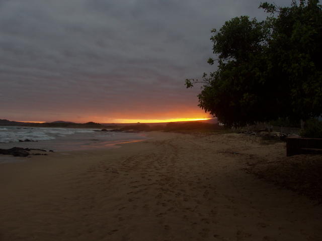 sunset at the beach - free image