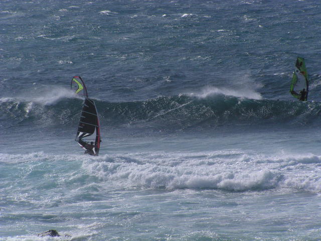 Surfers - free image