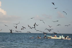 surrounding fishing trawler