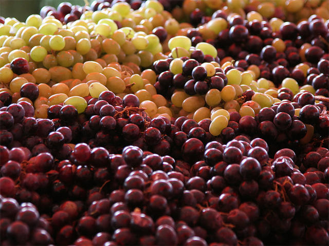 Sweet grapes - free image