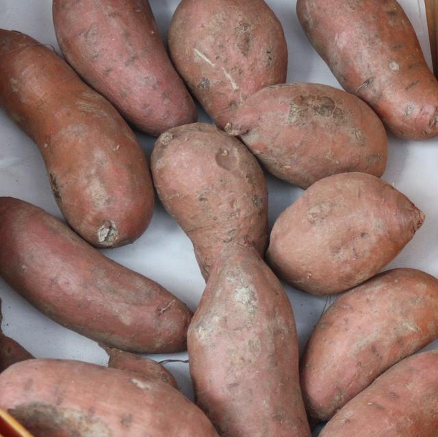 Sweet potato - free image