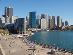 Sydney harbor