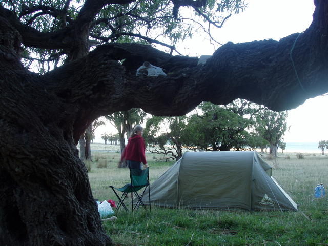 Tent in a park - free image