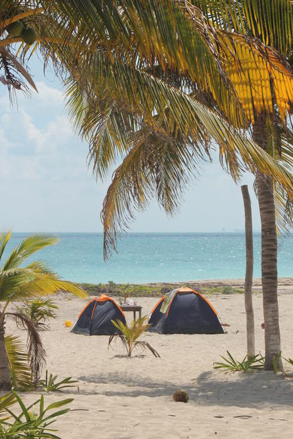 tents by the sea shore - free image