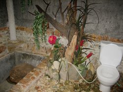 toilet in the jungle