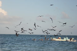 Traditional fishing boat