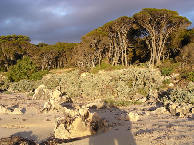 two travelers toiling the beach at dawn. - free image