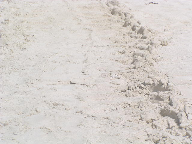 tyre trail in sand - free image