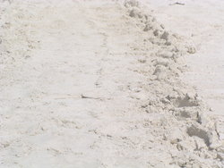 tyre trail in sand