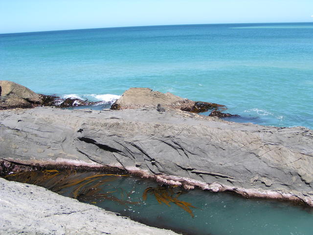 vast blue sea - free image