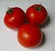 Vibrant red juicy tomatoes.