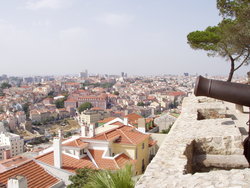 View from the tower