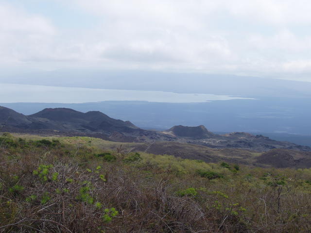 view of sea from a hill top. - free image