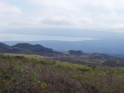 view of sea from a hill top.