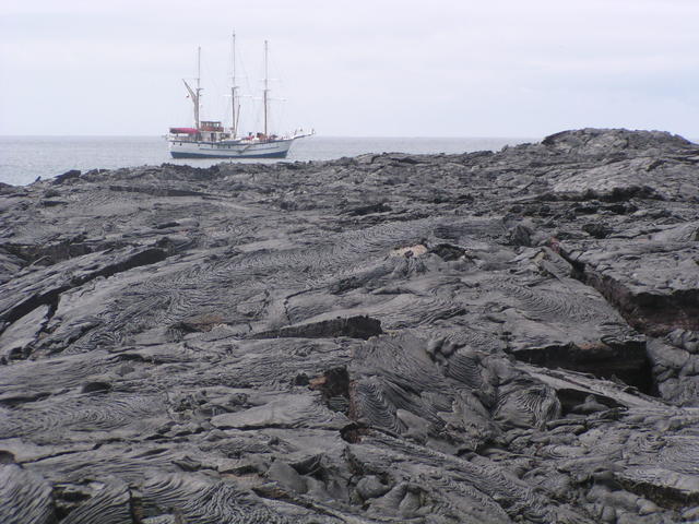 volcanic shore of the sea - free image