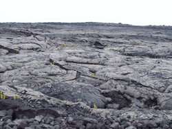 vulcanic surface