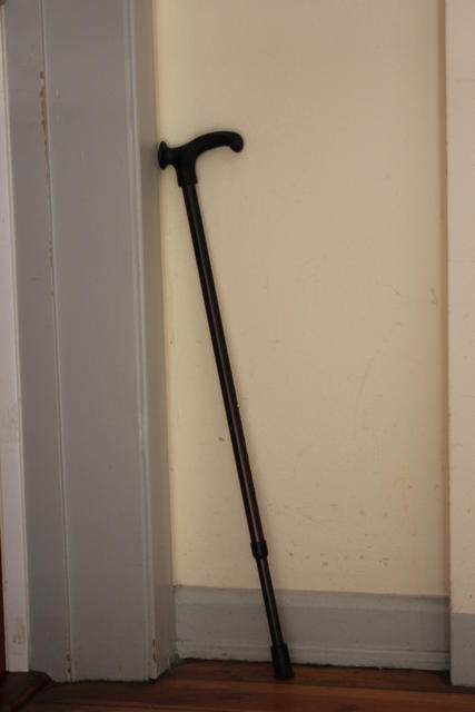 Walking Stick - free image