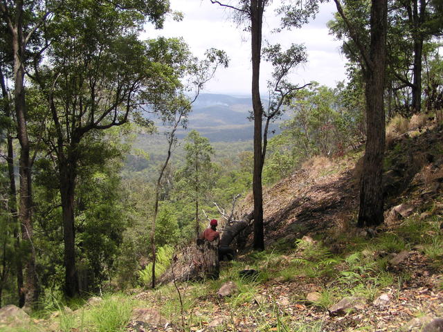 Walking through the mountains - free image