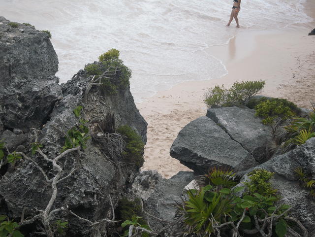 walking tourist on beach - free image