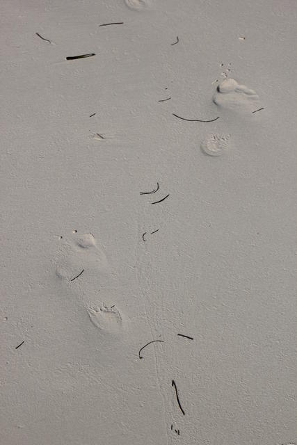 washed away foot steps - free image