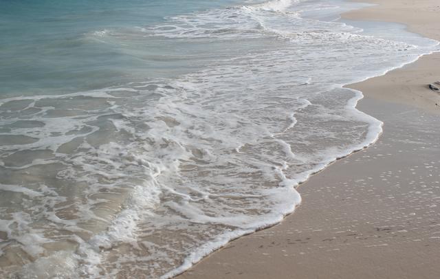washing sandy shore - free image