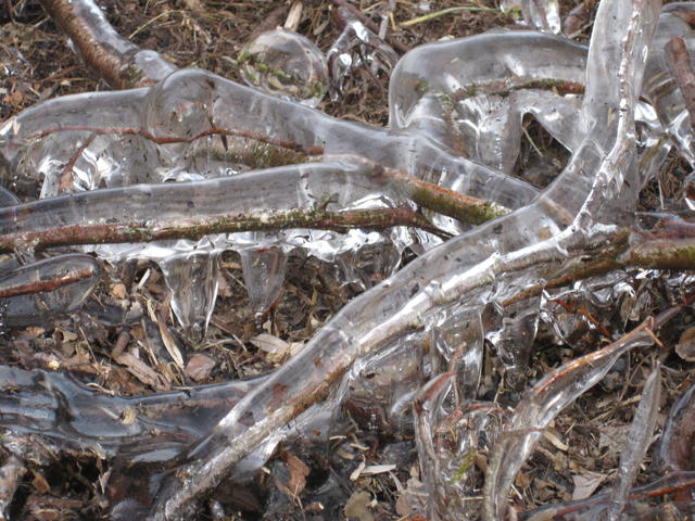 water from melted snow - free image