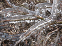 water from melted snow