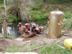 water pumps