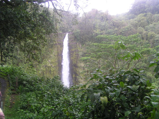 Waterfall - free image