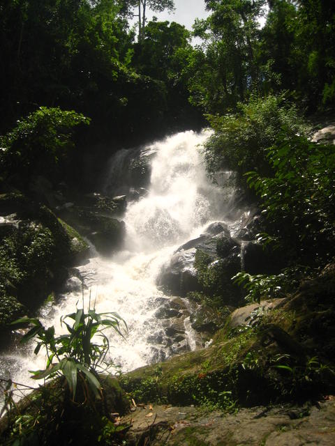 Waterfall - free image