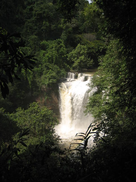 Waterfall - free image