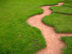 way on grass