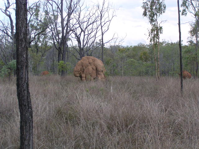 Weird mound - free image