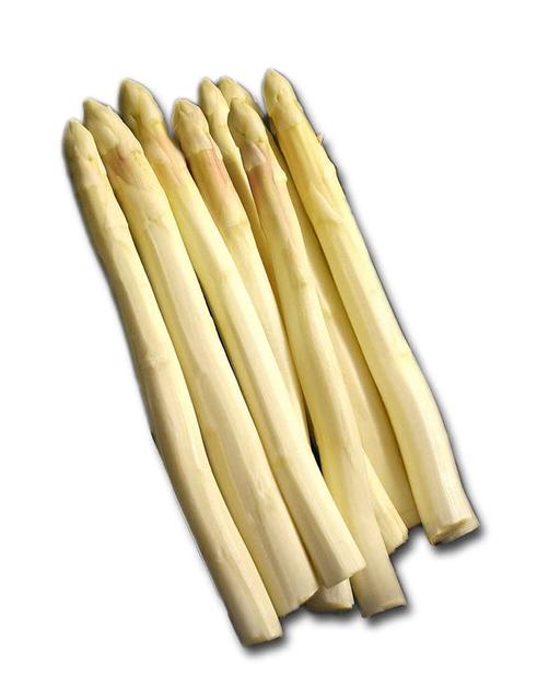 White asparagus - free image