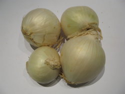 White Onion