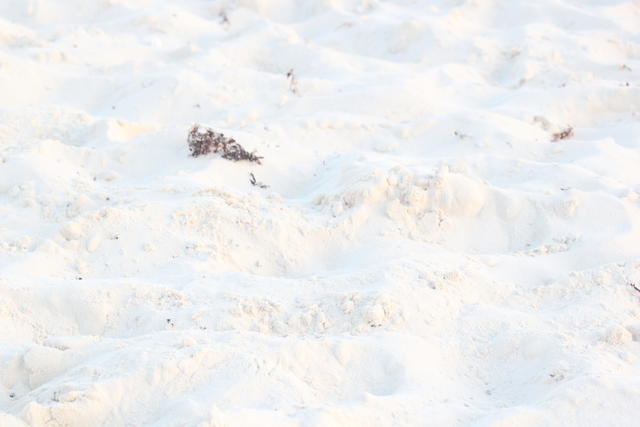 white sand - free image