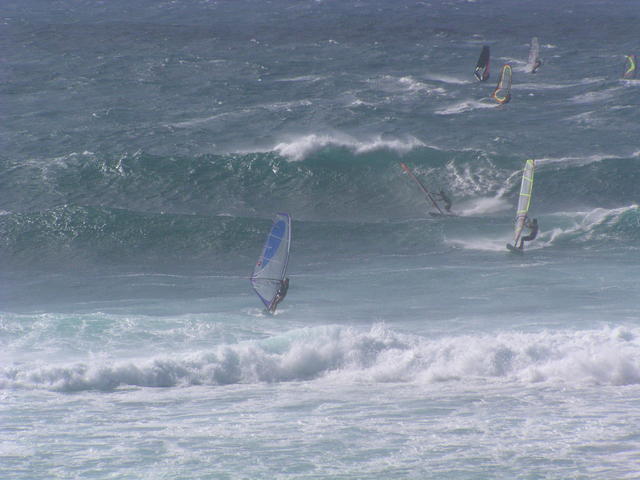 Windsurf evening - free image