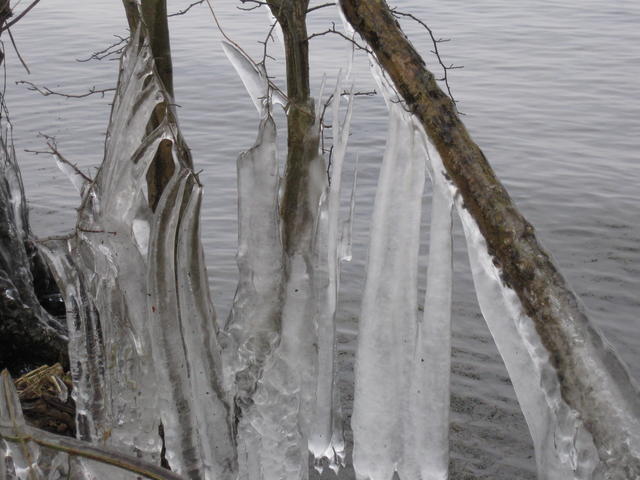 Winter Landscape - free image