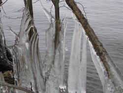 Winter Landscape